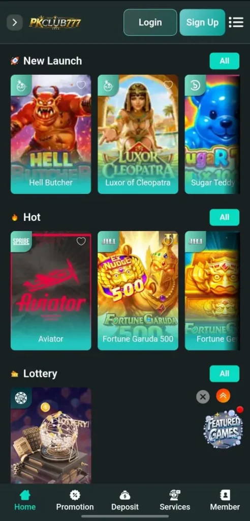 PakPlay Game